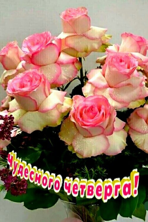   ,    . - 29  2021  00:25 - 5