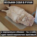 ���� Julia, �������� - ��������� 13 ������� 2021 � ������ ������ ��������