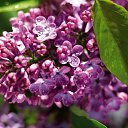 ���� Nusret, ����, 64 ���� - ��������� 6 ��� 2021 � ������ ������ ��������