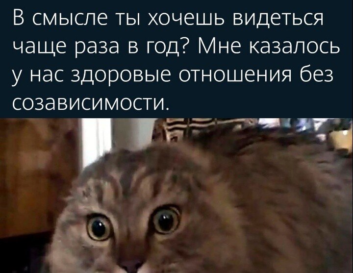 ***Victoria Viktorovna*** - 19  2021  05:02