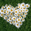 ���� Olja, �����-��������� - ��������� 6 ������� 2021 � ������ ������ ��������