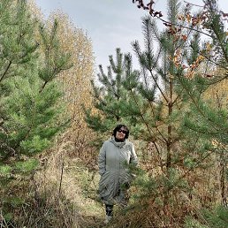 ���� �������, ������ - ��������� 23 ������� 2021