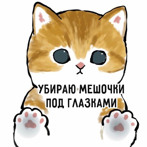 #�������@bon - 4