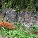����� ������ ���������&hellip; �� ������� ������ � ������ ������...�