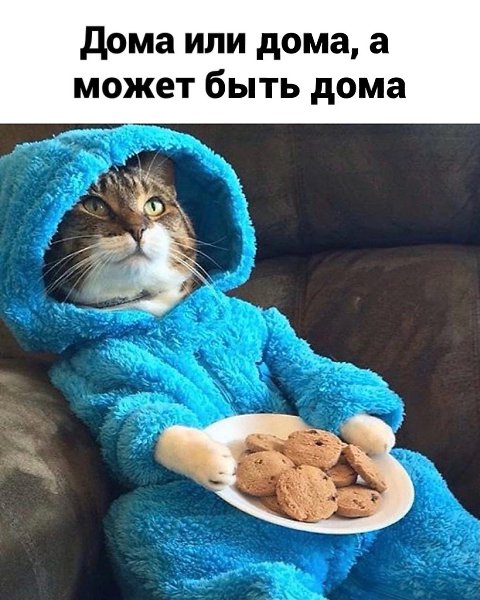 С годами понимаешь, что встречать праздник дома - гораздо лучше.Шальная государыня - 3