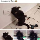 ���� �����, ������ - ��������� 17 ������ 2022 � ������ ������ ��������