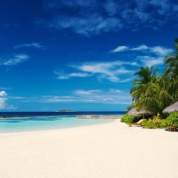 ��������, ������ ��������, 36 ���