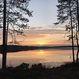 ������, ����������