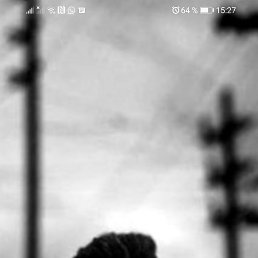 �����, �������, 40 ���