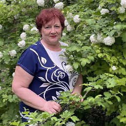 *������*, �������, 66 ���