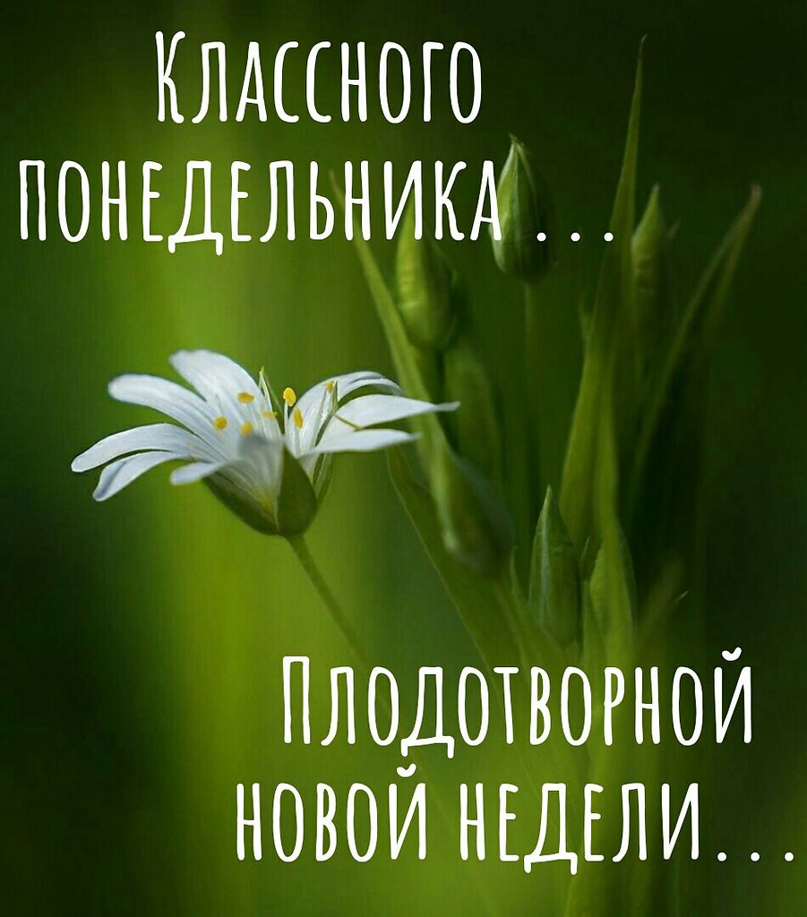   ,    . - 15  2021  23:44 - 3