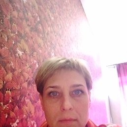 �����, 44 ����, �������