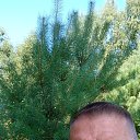 ���� ����, ������, 55 ��� - ��������� 17 �������� 2021