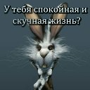 ���� �������, �����-���������, 49 ��� - ��������� 30 ������� 2021 � ������ ���� ����������