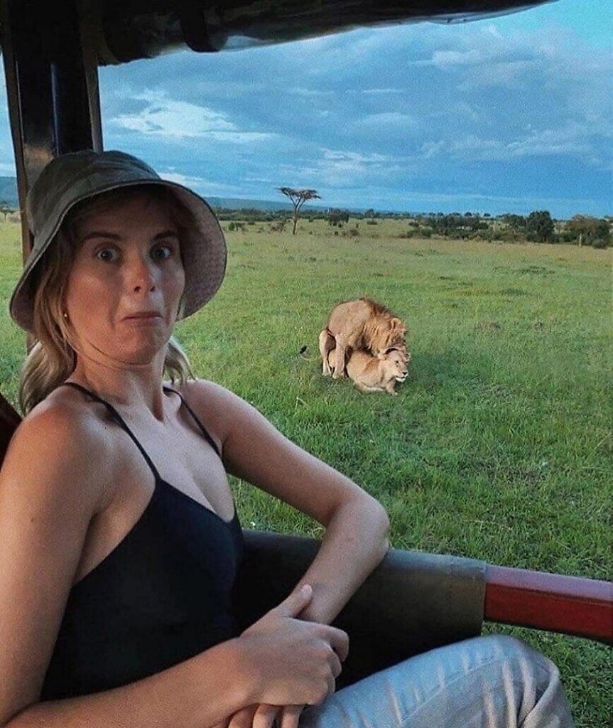    :     -    ? - 2