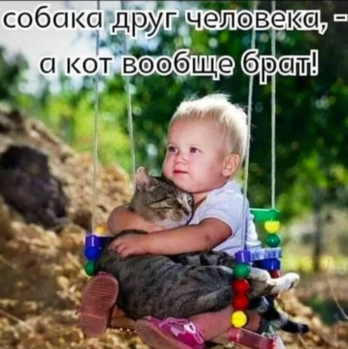   ! - 10  2021  21:39