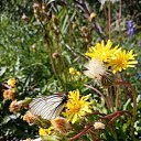 30.06.2021.�.�����,������. �� ������� ��������.�