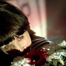 ����, �������, 44 ����