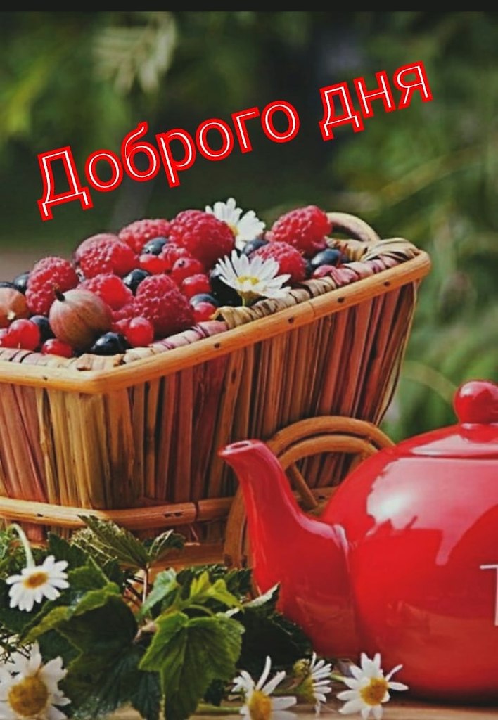   ,    . - 8  2021  11:56