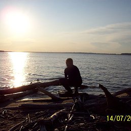 ���������, �����, 64 ����