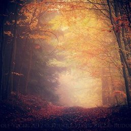 ������, ������, 24 ����