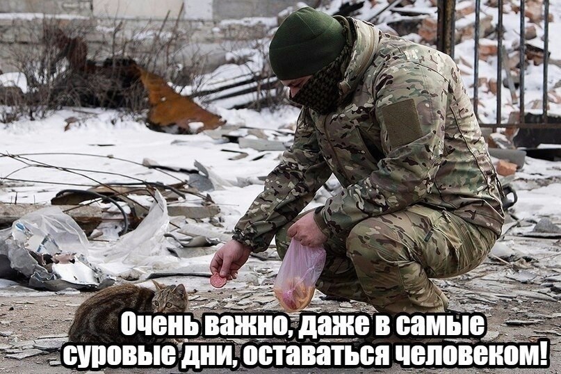 �������� ������ - 19 ������ 2021 � 17:25