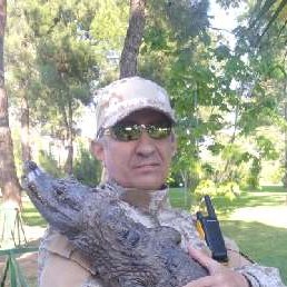 �������, �����������, 55 ���