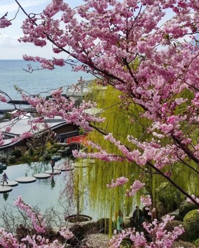 . .  . ,    ,     ,  ...