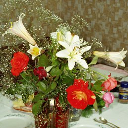 ����, �������, 46 ���