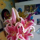 ���� Olja, �����-��������� - ��������� 8 ������� 2021 � ������ ������ ��������