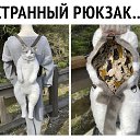 ���� ����, ������ - ��������� 19 ���� 2021 � ������ ������ ��������