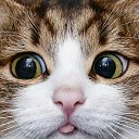 ���� �����, ������-��������� - ��������� 11 ������� 2021 � ������ ���� ����������
