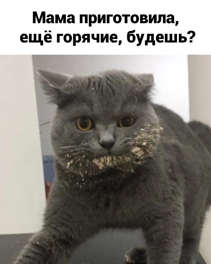 ������� �������, ���� ������������.������� - 2