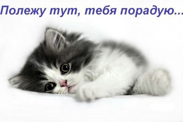    - 26  2021  22:41