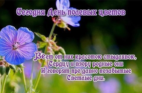   ,    . - 4  2021  22:45 - 4