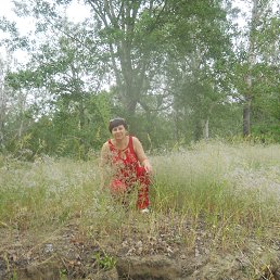 ������, ��������