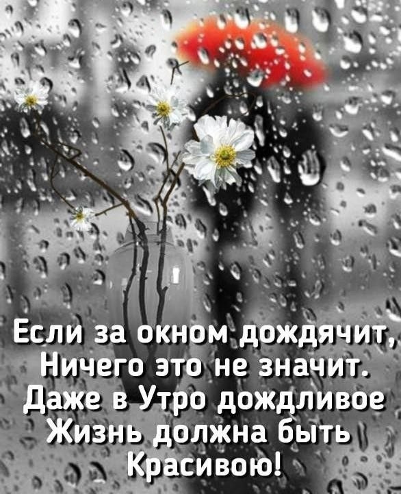   ,    . - 9  2021  15:33