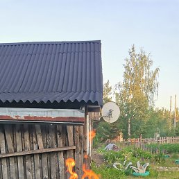 ������, ��������, 39 ���