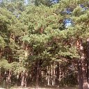 ���� Haver Santa, ���������� ����� - ��������� 28 ���� 2021 � ������ �:)�