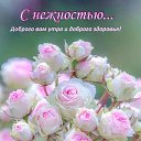  -lubov,  , 72  -  13  2021    