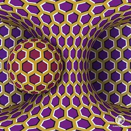 ���� ��������, ���� - ��������� 31 ������� 2021