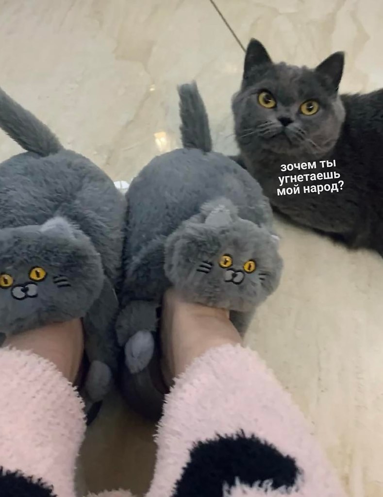     - 2