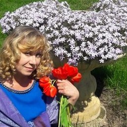 ������, �������, 56 ���