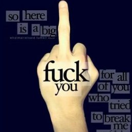 �����, �������, 40 ���