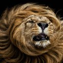 ���� ������, ��������, 44 ���� - ��������� 13 ������� 2021 � ������ ���� ����������