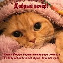 ���� ��������, �������� - ��������� 11 ������� 2021 � ������ ������ ��������