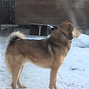 ���� ����, ��������, 48 ��� - ��������� 26 ����� 2021 � ������ ���� ����������