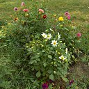 ���� Nikolay, ������ ��������, 73 ���� - ��������� 22 ������� 2021 � ������ �2021 �