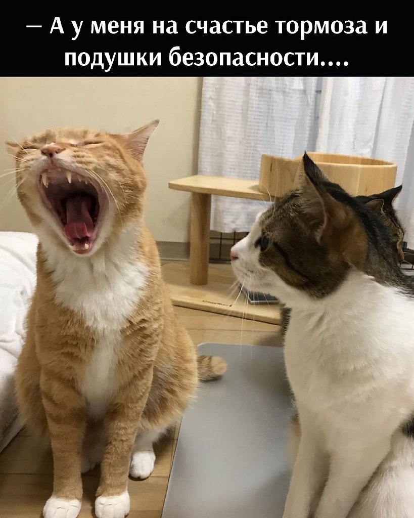��� ���� � ����� �� �� - 10 �������� 2021 � 16:37 - 3