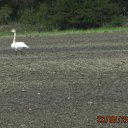 ���������&hellip; �� ������� ������